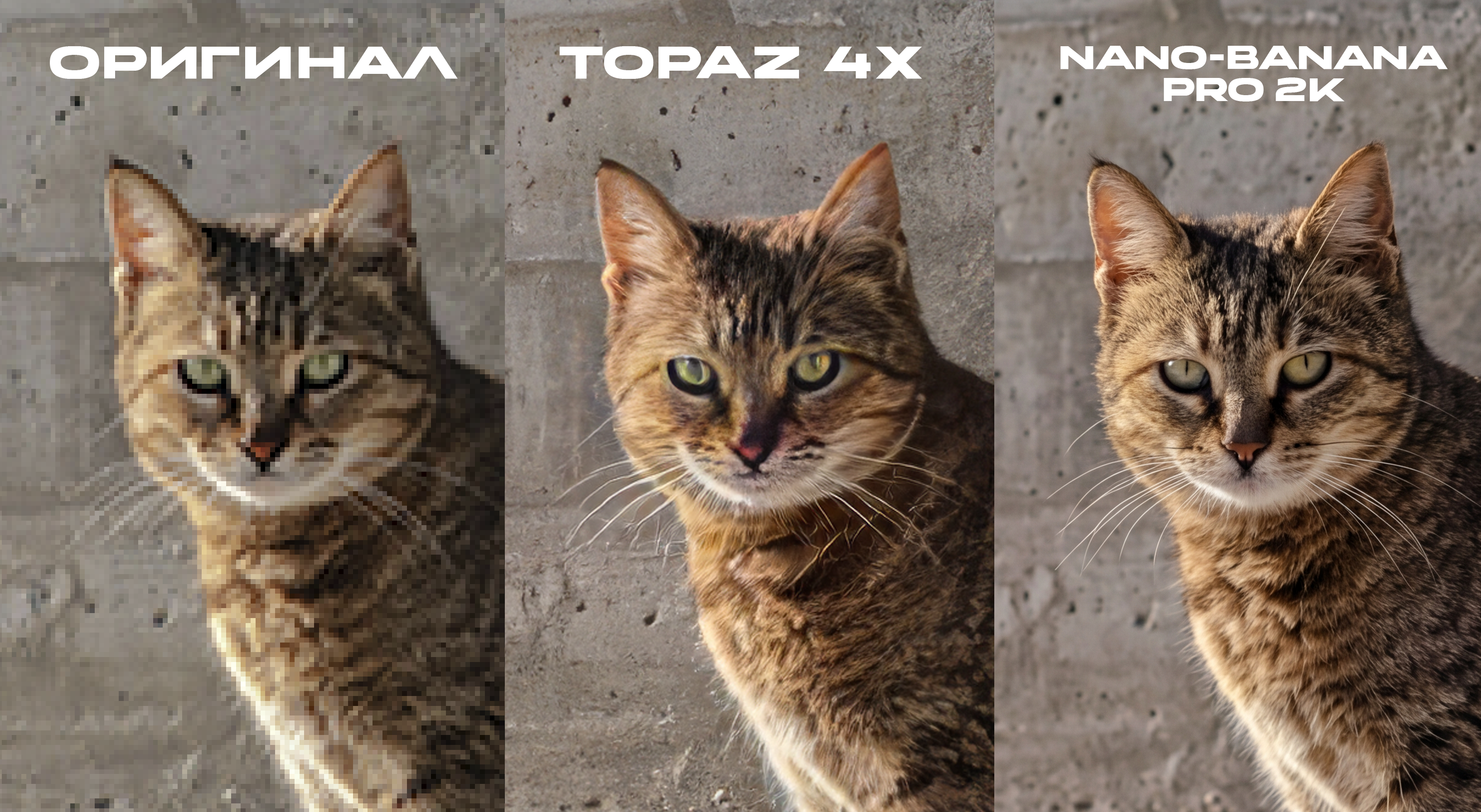 Topaz Upscale в EPTA